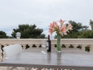 Apartmán Villa Dingač č.7