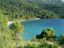 Žuljana